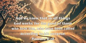 Romans 8:28